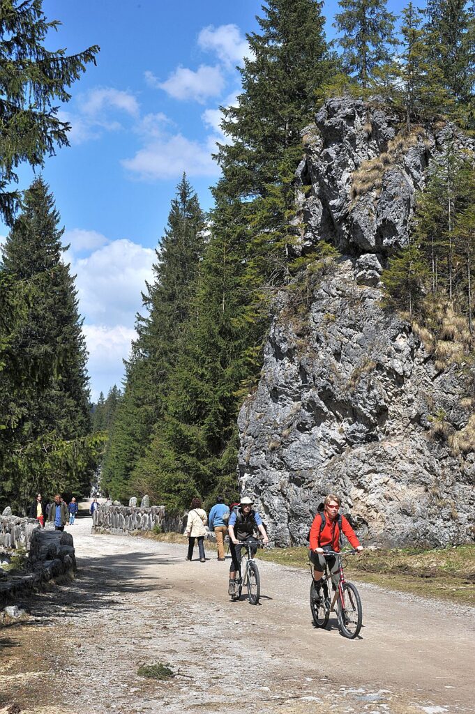 Akademia Tatry: „Topografia i przyroda Doliny Chochołowskiej”