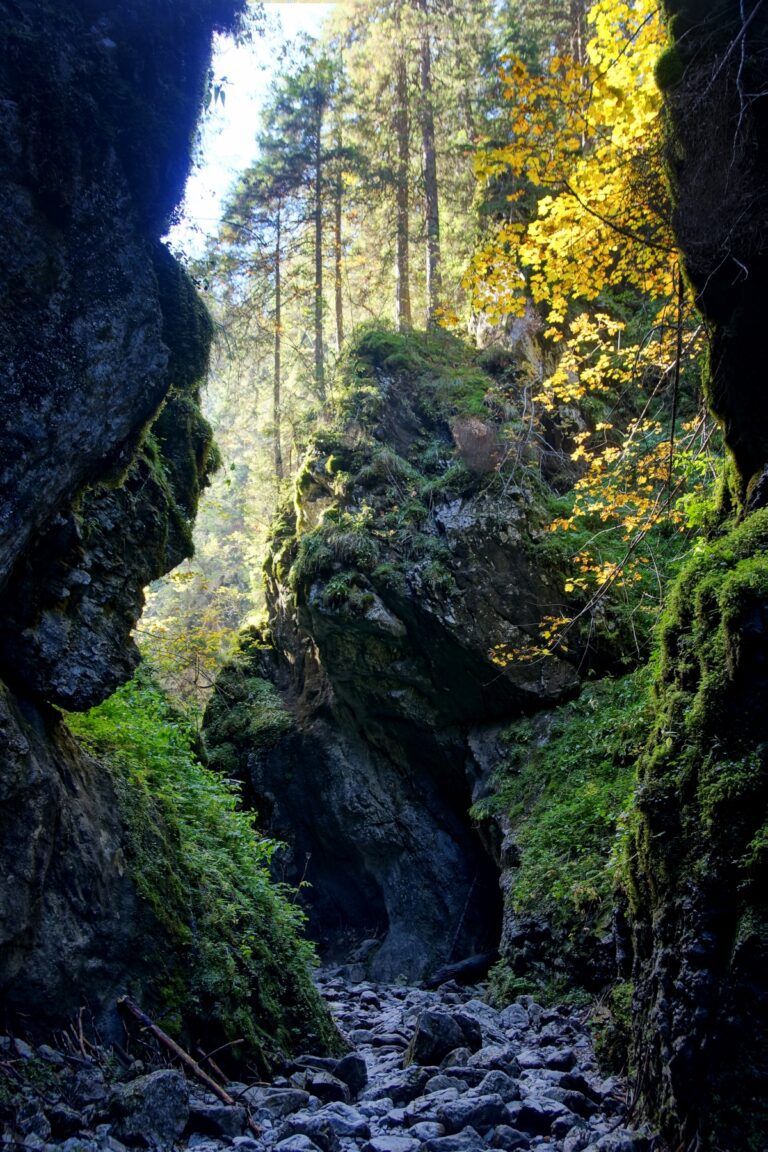 Smoki, pasterze i poszukiwacze skarbów
