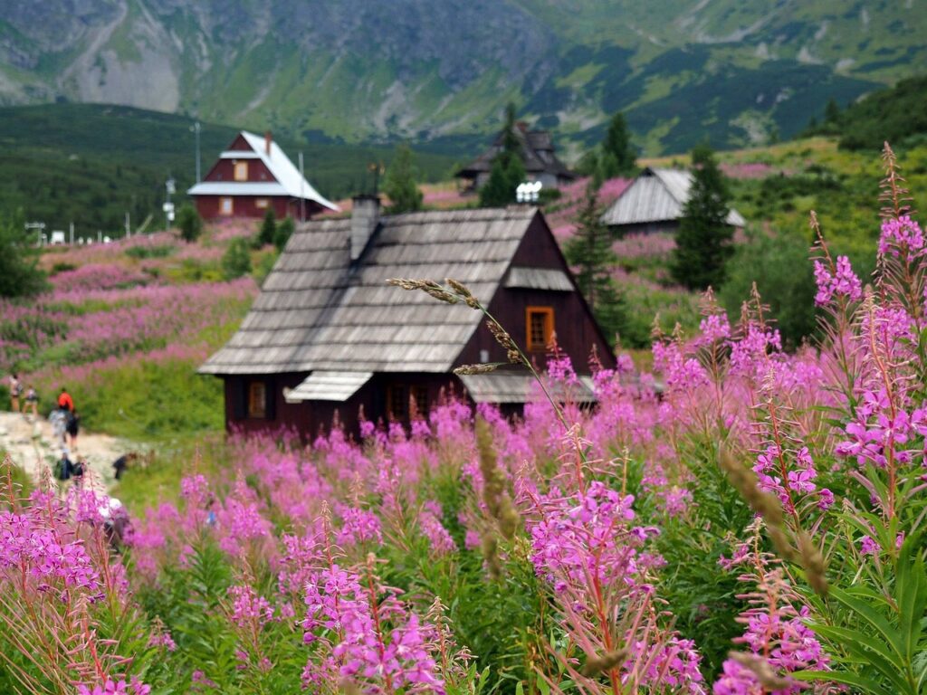 Bezpłatne wycieczki w Tatry z PTTK