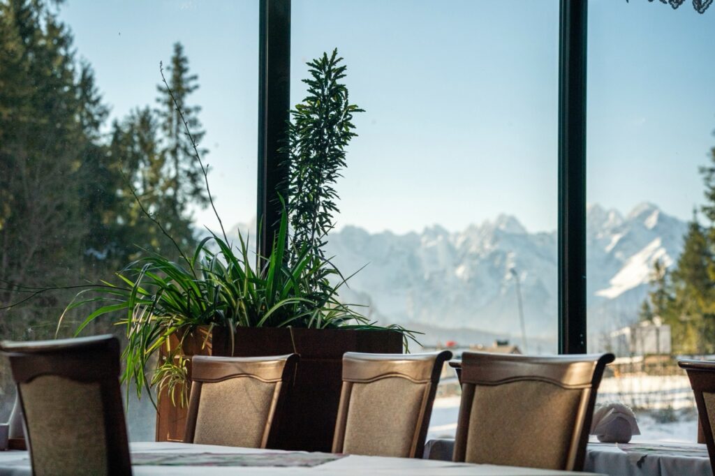 Odwiedź Restaurację Retrospekcja
