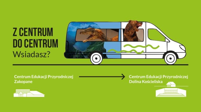 E-busem do wnętrza Tatr. TPN testuje nowy sposób na odkrywanie Doliny Kościeliskiej