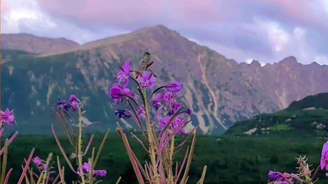 Tatry