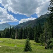 Dolina Kościeliska - pomysł na spacer w Tatrach