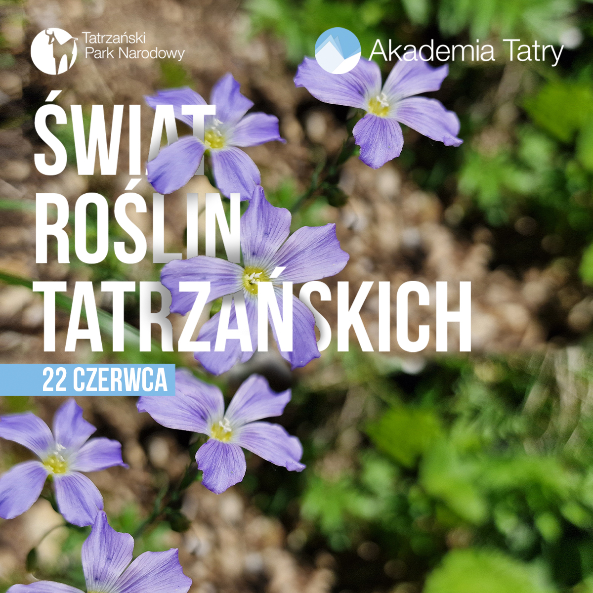 Akademia Tatry Swiat Roslin Tatrzanskich
