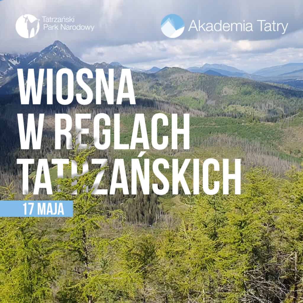 Spacer po wiosennych tatrzańskich reglach 1 Spacer po wiosennych tatrzańskich reglach