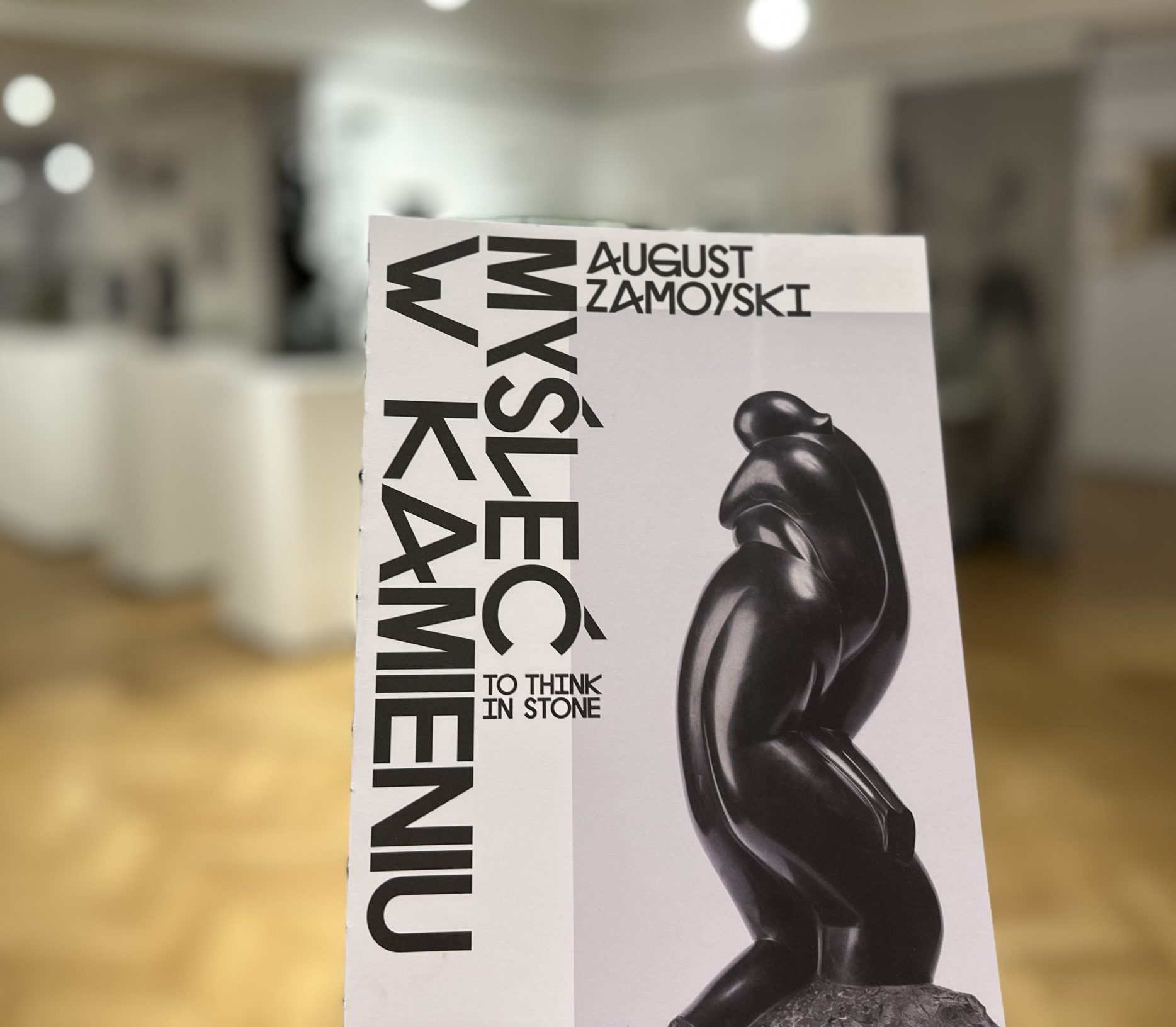 Oprowadzanie kuratorskie po wystawie „August Zamoyski. Myśleć w kamieniu”