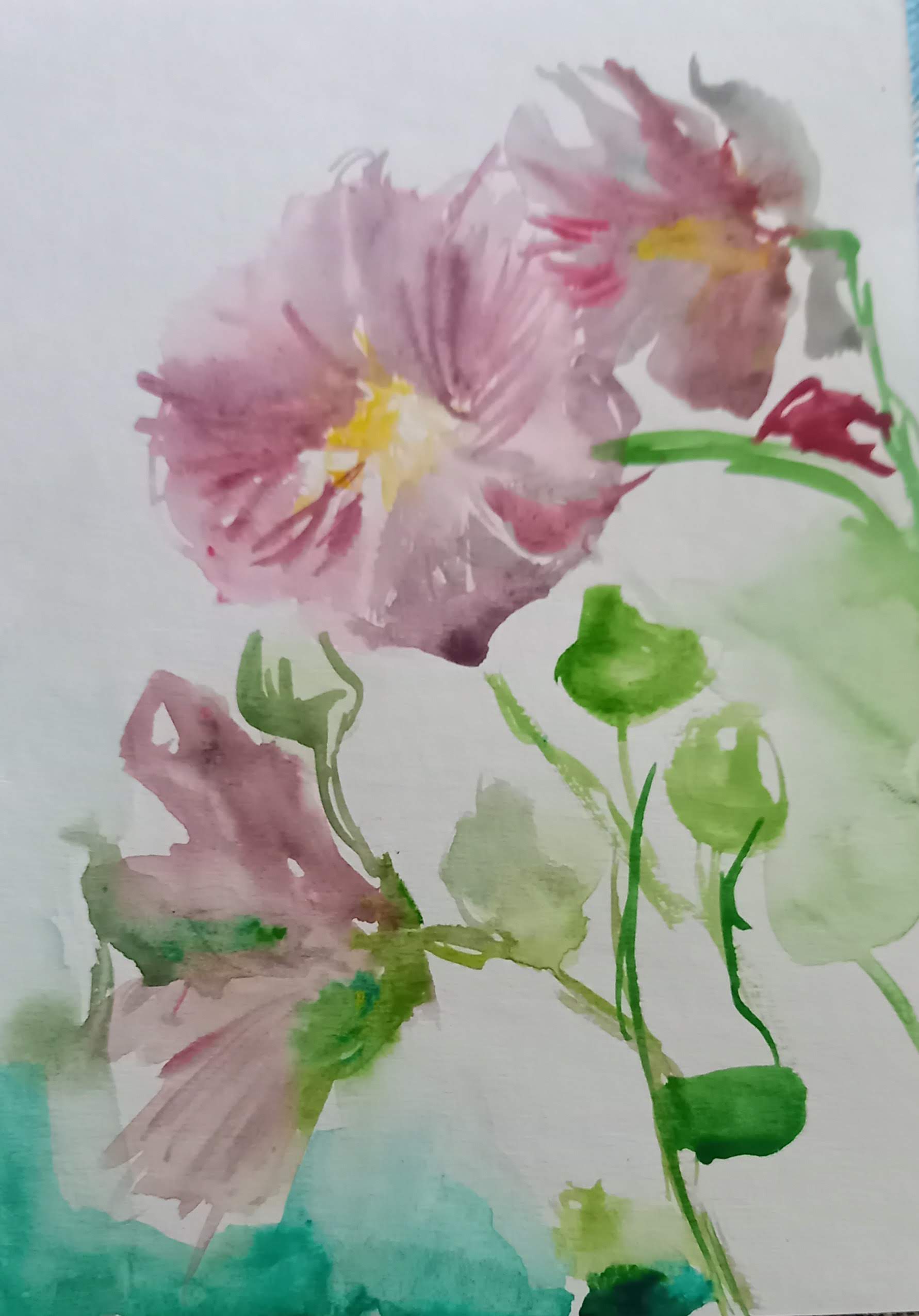 Wernisaż wystawy „Botanical Art" Soni Nester