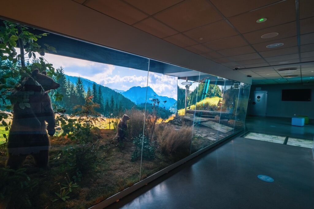 Centrum Edukacji Przyrodniczej TPN 11