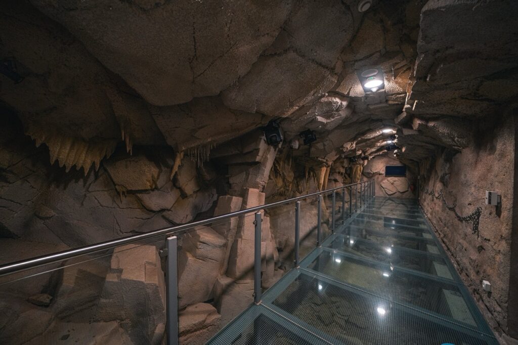 Centrum Edukacji Przyrodniczej TPN 11