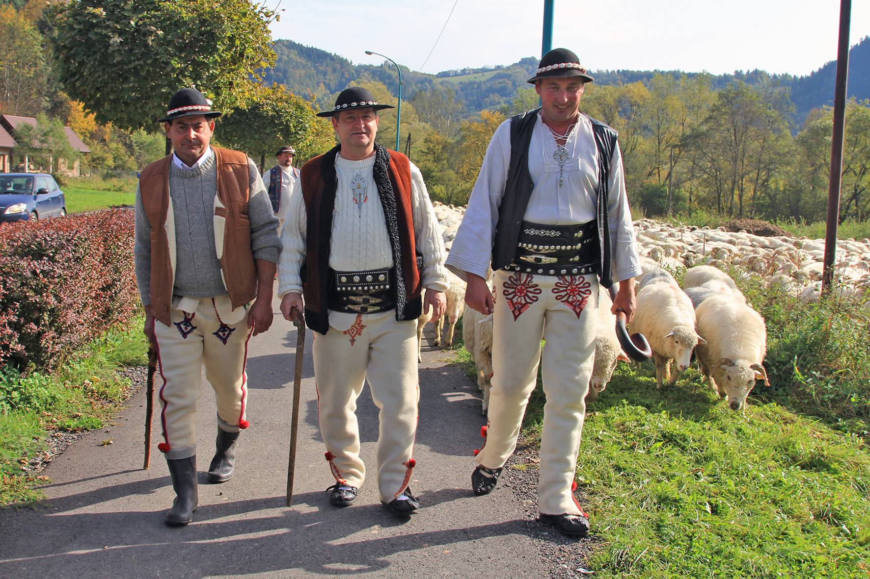 Jesienny Redyk w Szczawnicy 2 Jesienny Redyk w Szczawnicy