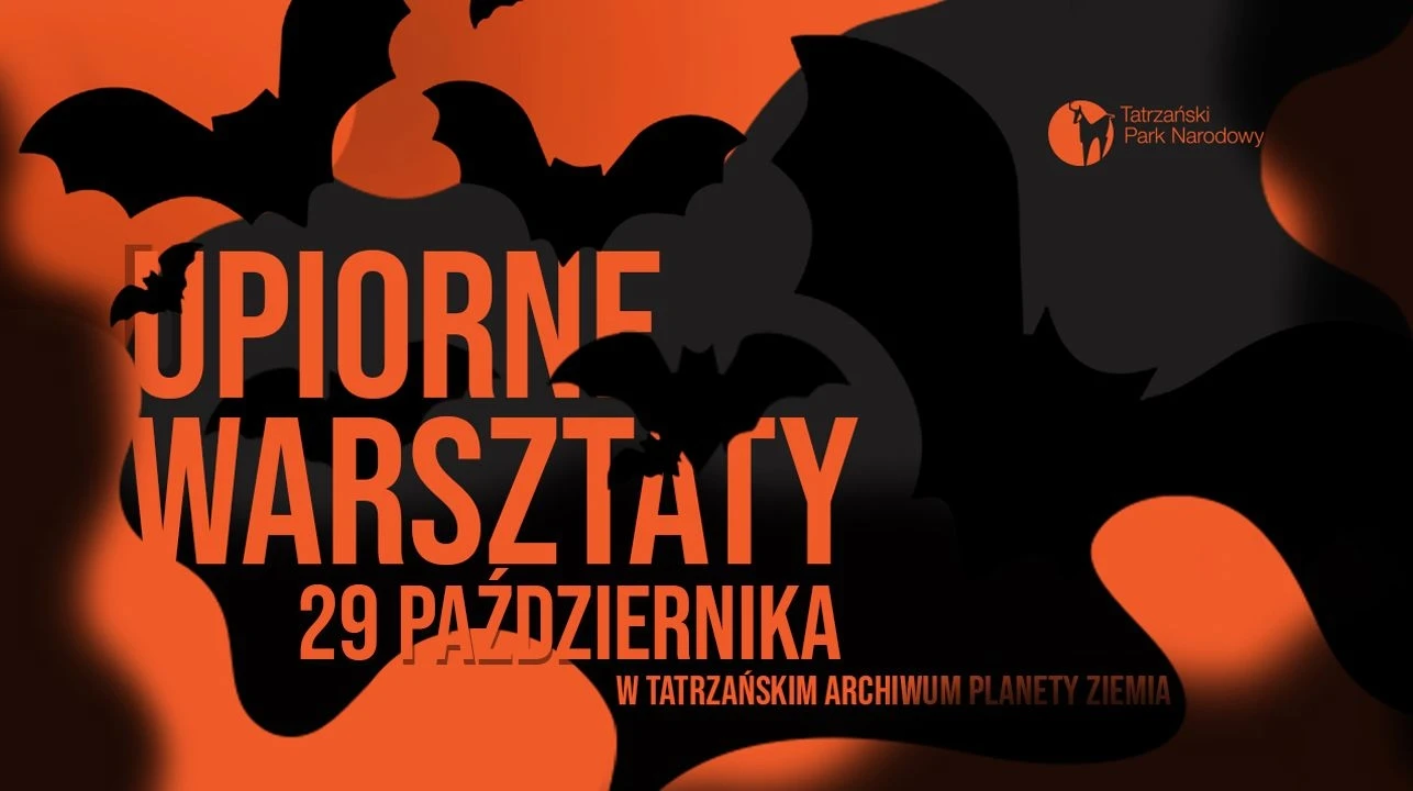 Upiorne warsztaty w Tatrzańskim Archiwum Planety Ziemia