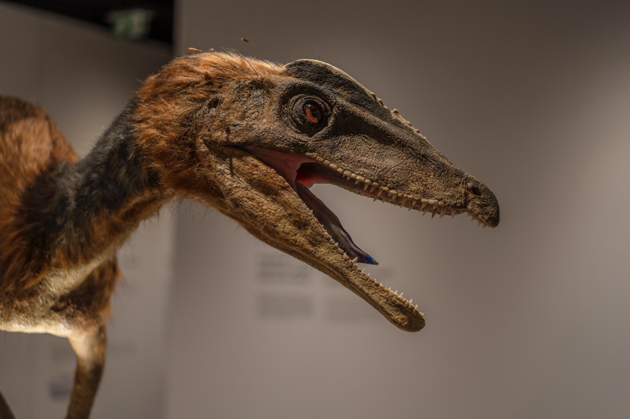Tatrzańskie Archiwum Planety Ziemia – niezwykła podróż w głąb historii Tatr 1 Tatrzanskie Archiwum Planety Ziemia - dinozaury w Tatrach