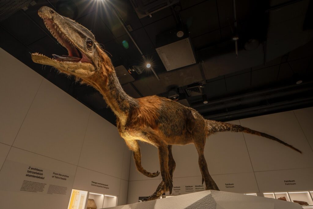 Tatrzanskie Archiwum Planety Ziemia 4