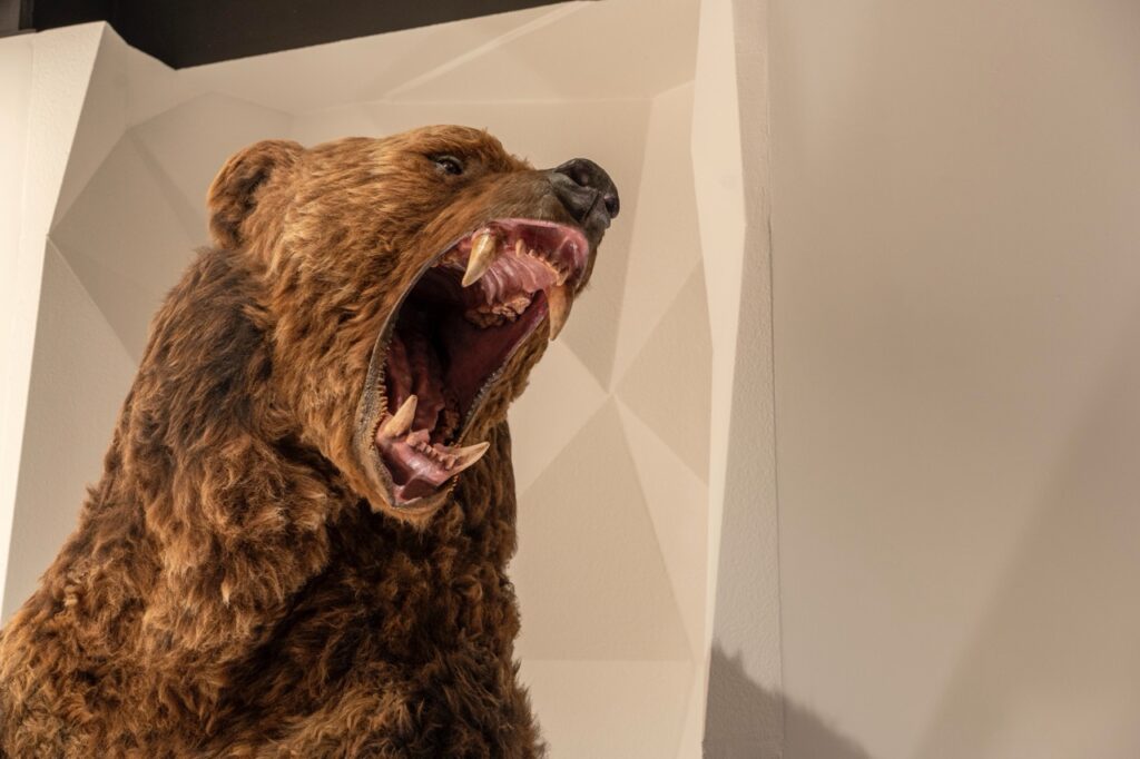 Tatrzanskie Archiwum Planety Ziemia 4