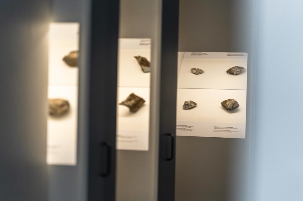 Tatrzanskie Archiwum Planety Ziemia 7