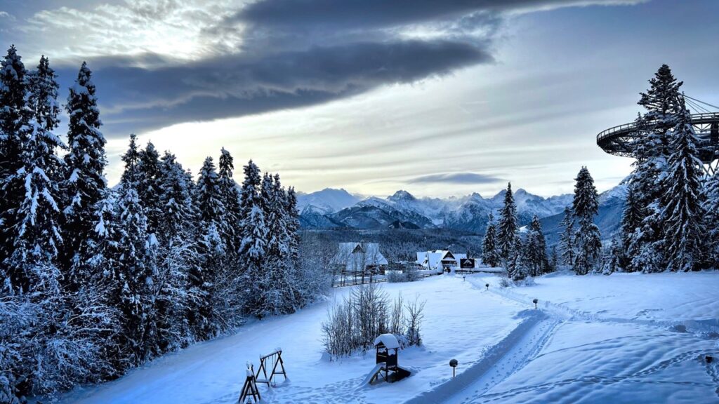 Restauracja Retrospekcja 4