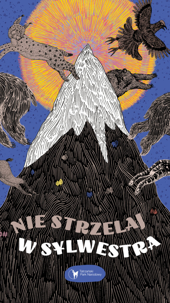 Dobra zabawa bez petard. TPN po raz kolejny apeluje: „Nie strzelaj w sylwestra" 1 „Nie strzelaj w sylwestra"