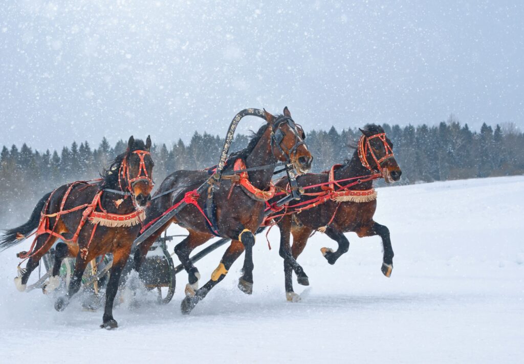 Luty pod Tatrami - co robić w Zakopanem i na Podhalu? 3 Parady Gazdowskie na Podhalu