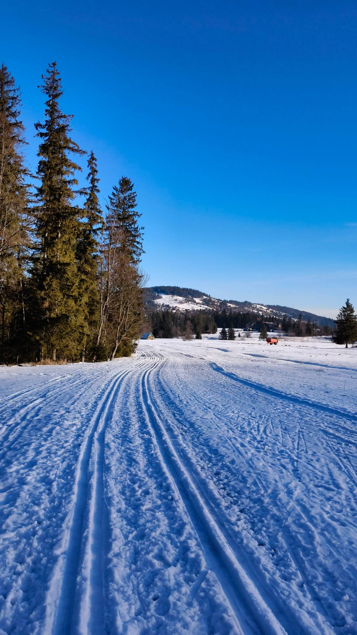 X Walentynkowy Bieg Parami