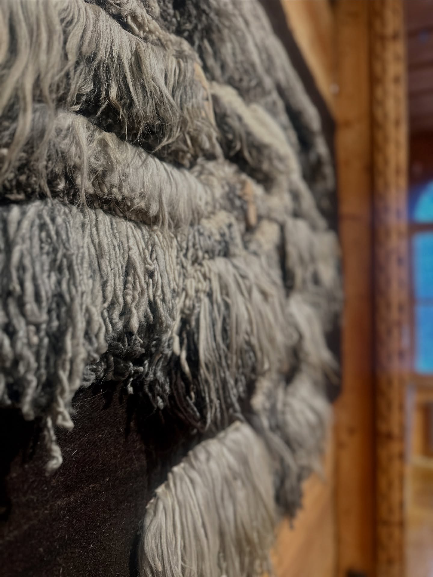 Wystawa „Kolekcja”