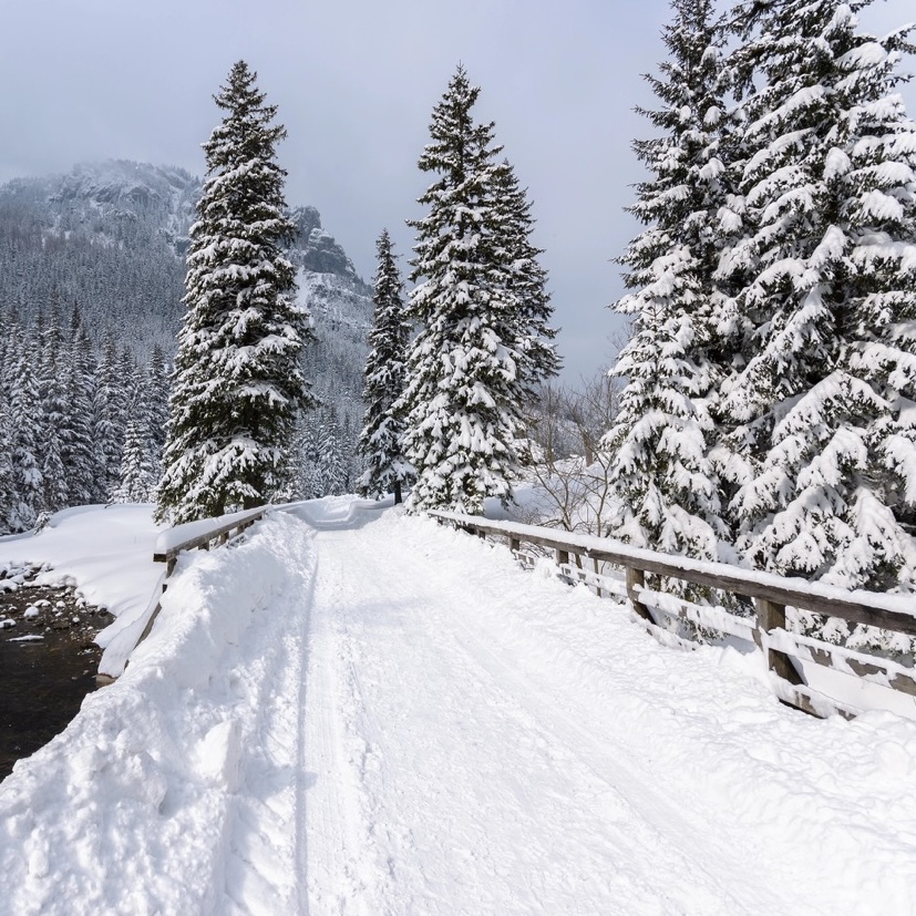 Dolina Kościeliska Zimą