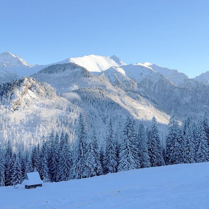 Widok z Rusinowej Polany